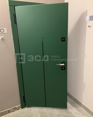 Дверь с зелёной панелью и чёрной фурнитурой - фото
